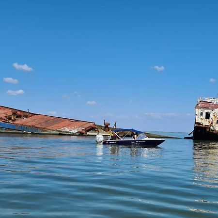 Pensiunea Izora Crisan  Exteriér fotografie