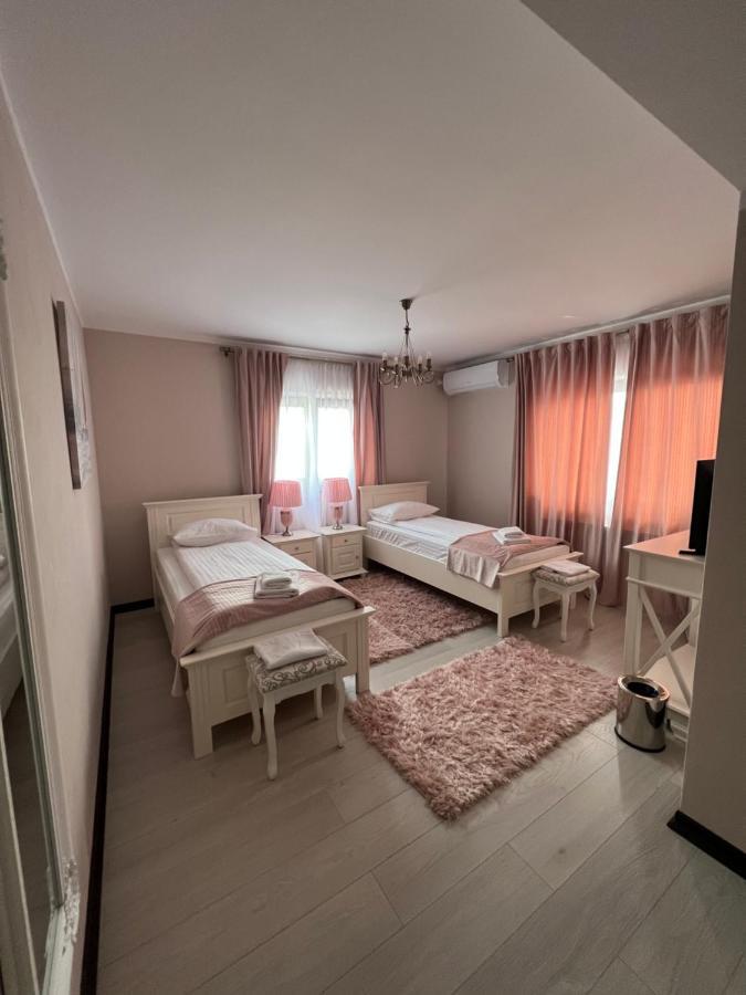 Pensiunea Izora Crisan  Exteriér fotografie
